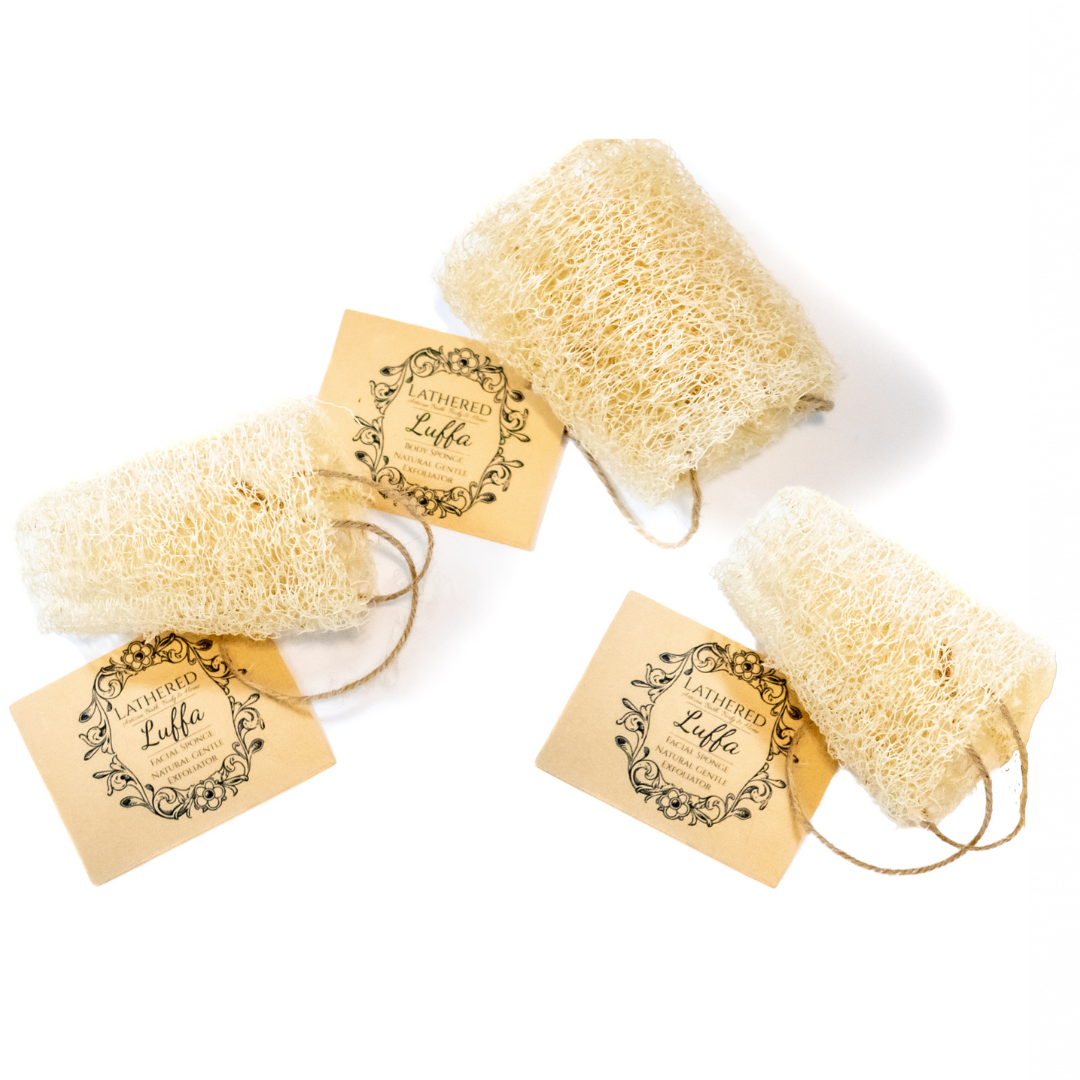 Luffa | Lightly Exfoliating | Body Sponge