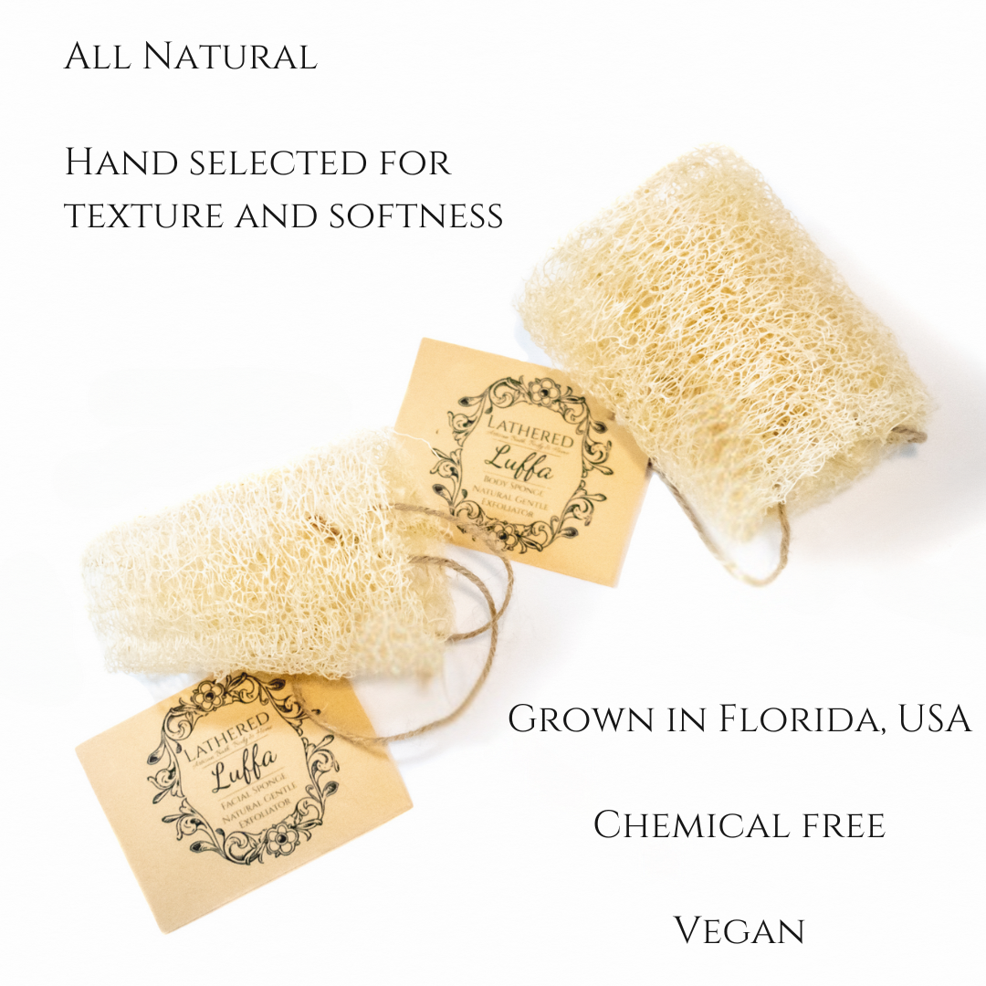 Luffa | Lightly Exfoliating | Body Sponge