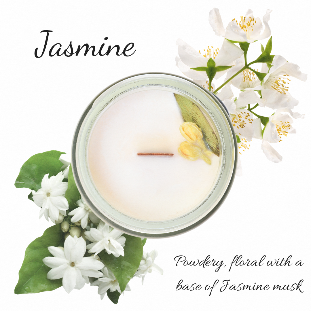 Jasmine | Natural Fragrance | Candle