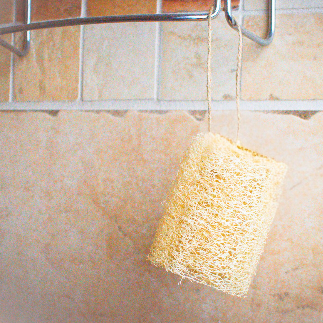 Luffa | Lightly Exfoliating | Body Sponge