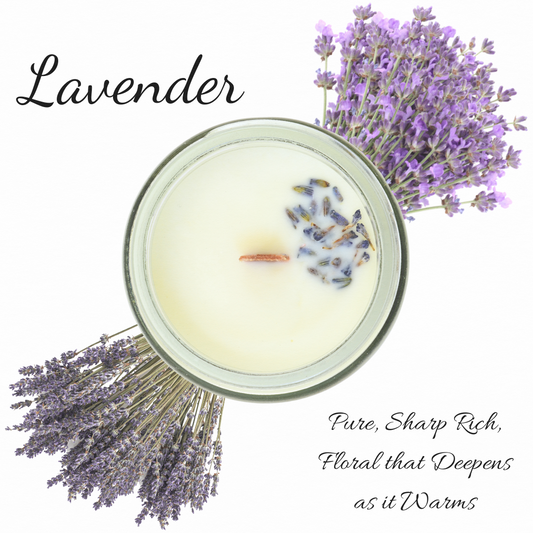 Lavender | Essential Oil | Candle