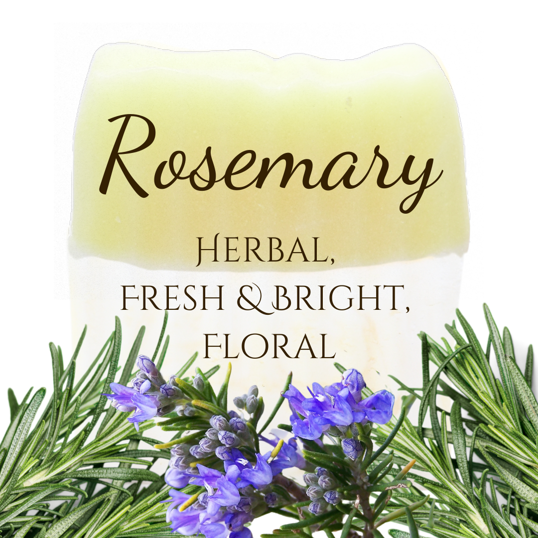 Rosemary | Essential Oil | Bar Soap