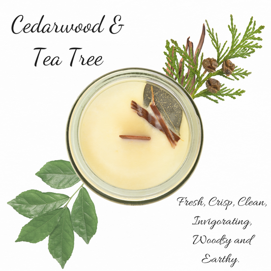 Cedarwood & Tea Tree | Essential Oil | Candle