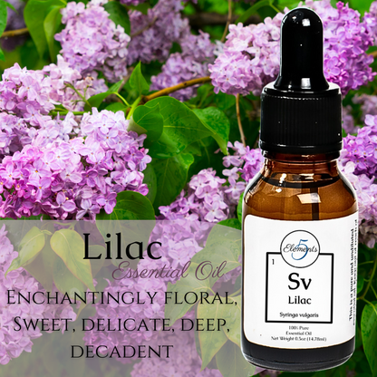 Lilas | Huile essentielle | Syringa vulgaris