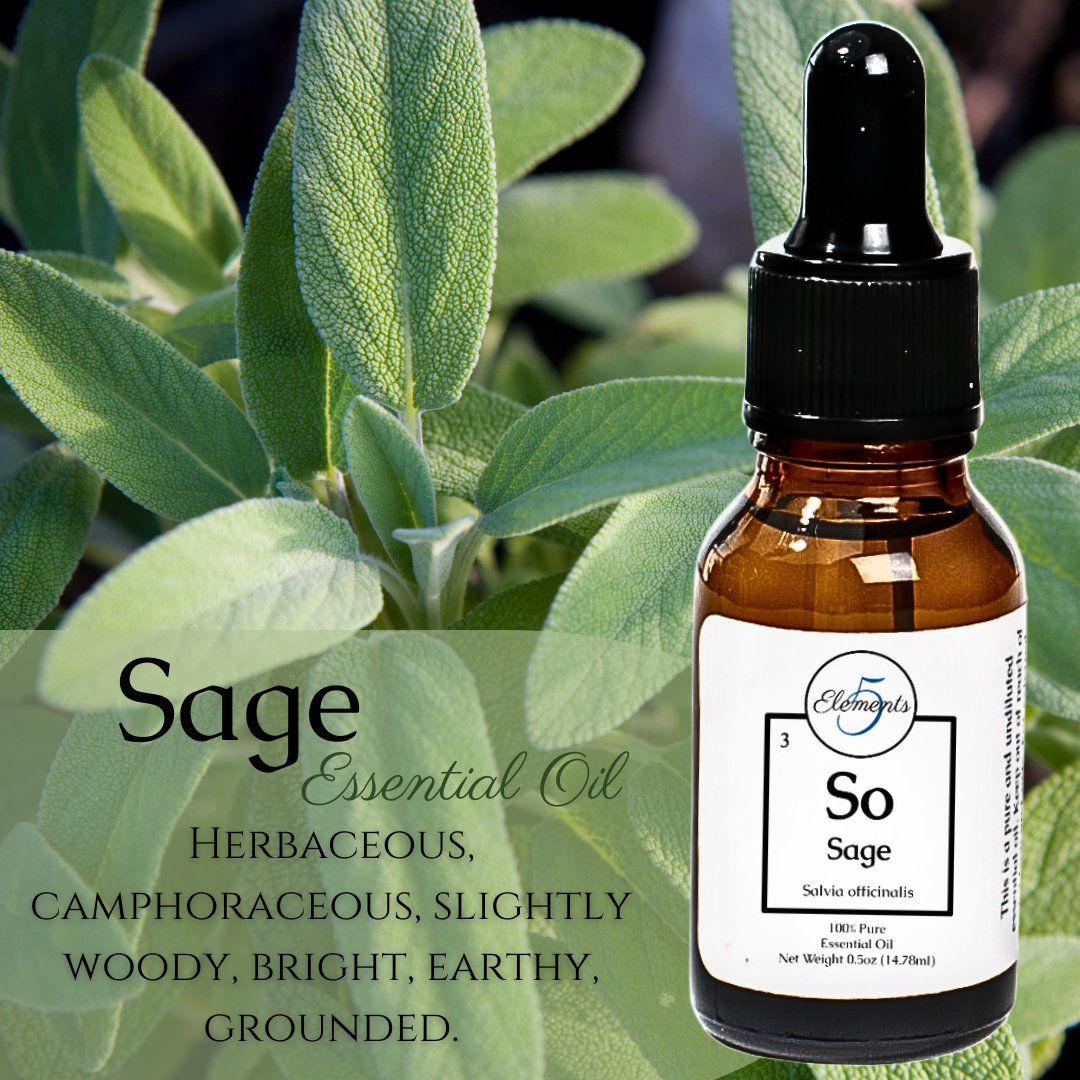 Sage | Essential Oil | Salvia officinalis