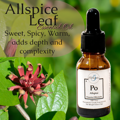 Allspice Leaf | Essential Oil | Pimenta Officinalis