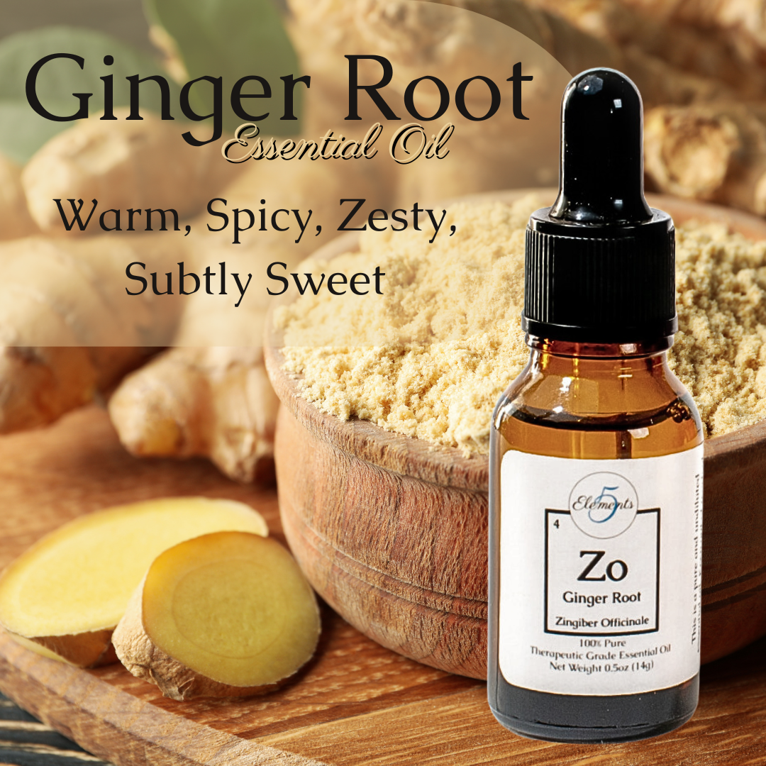 Ginger Root | Essential Oil | Zingiber officinale