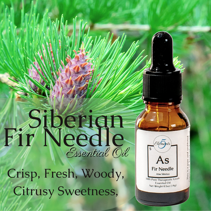 Aceite esencial de agujas de abeto siberiano | Abies sibirica