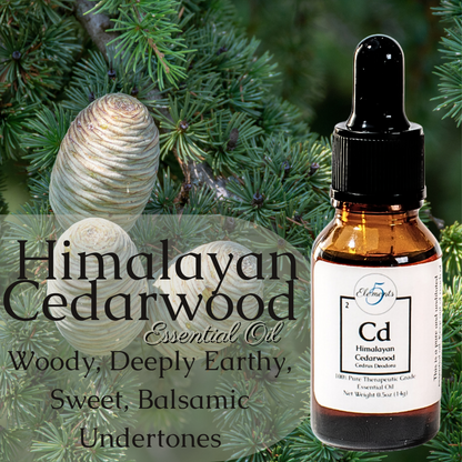 Madera de cedro del Himalaya | Aceite Esencial | Cedrus Deodora