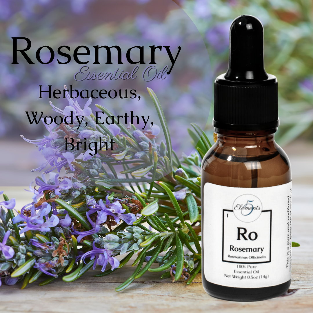 Rosemary | Essential Oil | Rosmarinus Officinalis