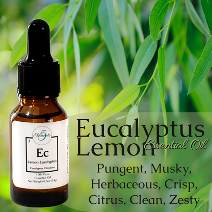 Eucalyptus Lemon | Essential Oil | Eucalyptus Citrodora