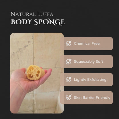 Luffa | Lightly Exfoliating | Body Sponge